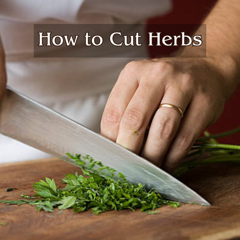 How to Cut Herbs: Cilantro, Basil and Thyme