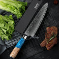 Gyuto Japanese Chef Knife with sheath