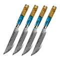 4-piece VG10 straight edge steak knives