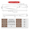 Shinko Gyuto technical specification diagram with dimensions, materials and specifications.