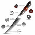 Infographic Detailed view of a Damascus steel knife with labeled features on a white background