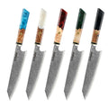 Five Seido Japanese kiritsuke knives with Damascus steel blades and colorful resin handles, arranged in a row on a white background. The handles feature various designs including blue, white, red, green, and black.
