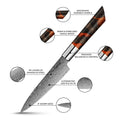 Shinko Petty Knife feature infographic detailed view with labeled features on a white background.