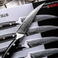 Shujin 4-Piece Steak Knife Set