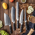 Shujin 5-Piece Butcher Knife Set