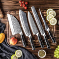 Shujin 5-Piece Butcher Knife Set