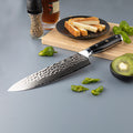 Shujin Gyuto Damascus Knife