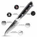 Feature shujin series paring knife infographic highlighting VG-10 core, Damascus cladding, and G10 handles.
