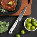 Takoizu serrated steak knife on a dark dining surface