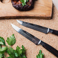 Serrated Steak Knife Set